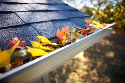 Gouttière pleine de feuilles mortes